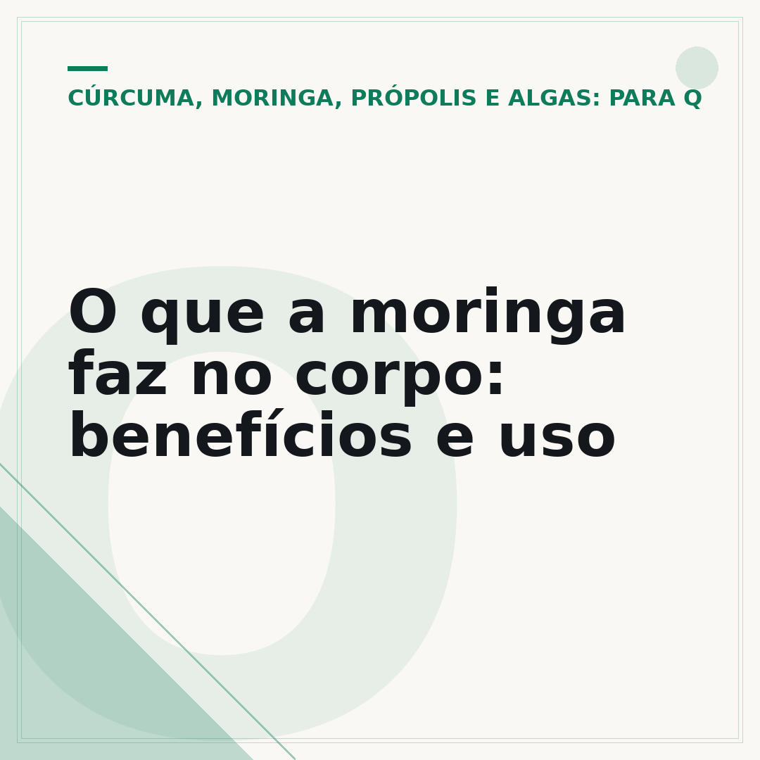 O que a moringa faz no corpo: benefícios e uso