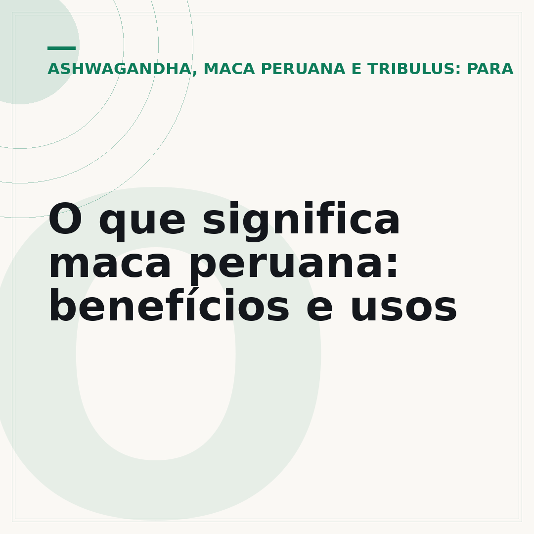 O que significa maca peruana: benefícios e usos