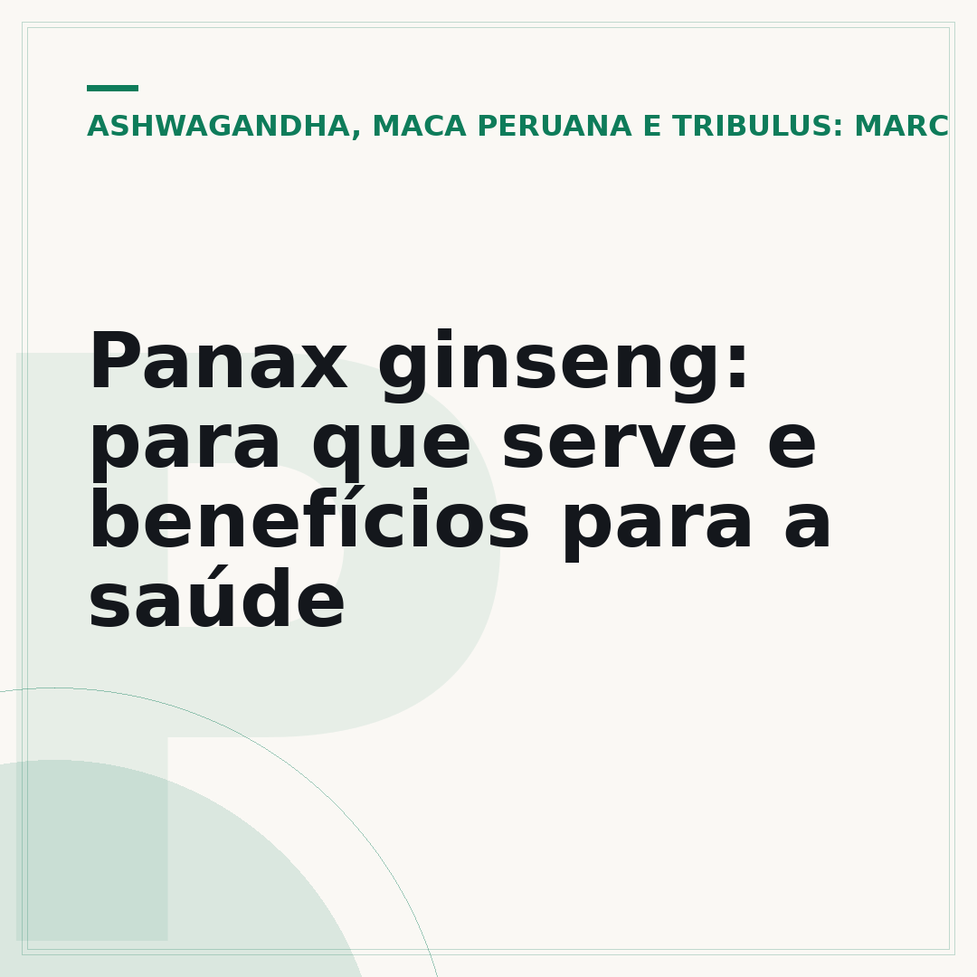 Panax ginseng: para que serve e benefícios para a saúde