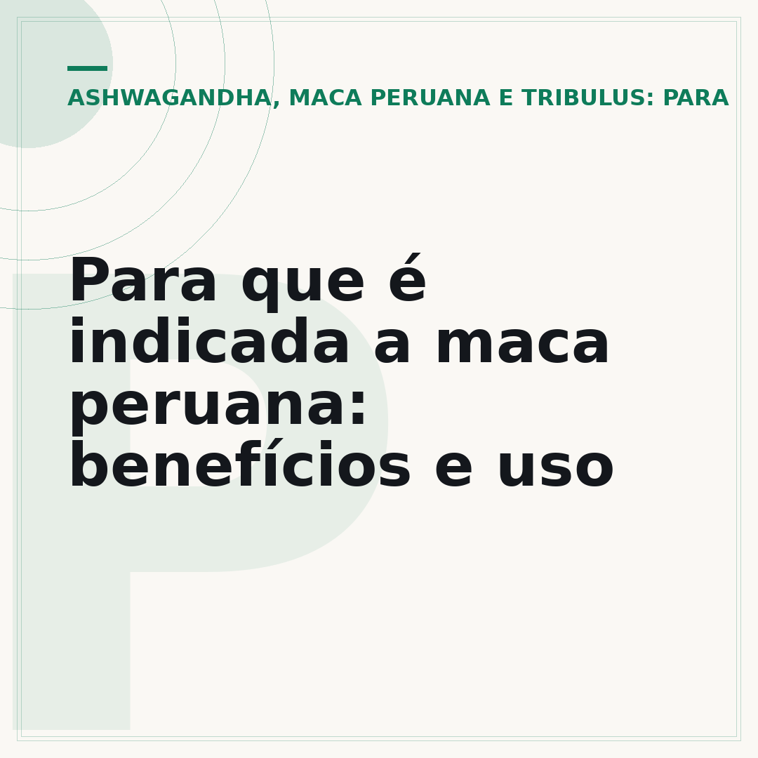 Para que é indicada a maca peruana: benefícios e uso