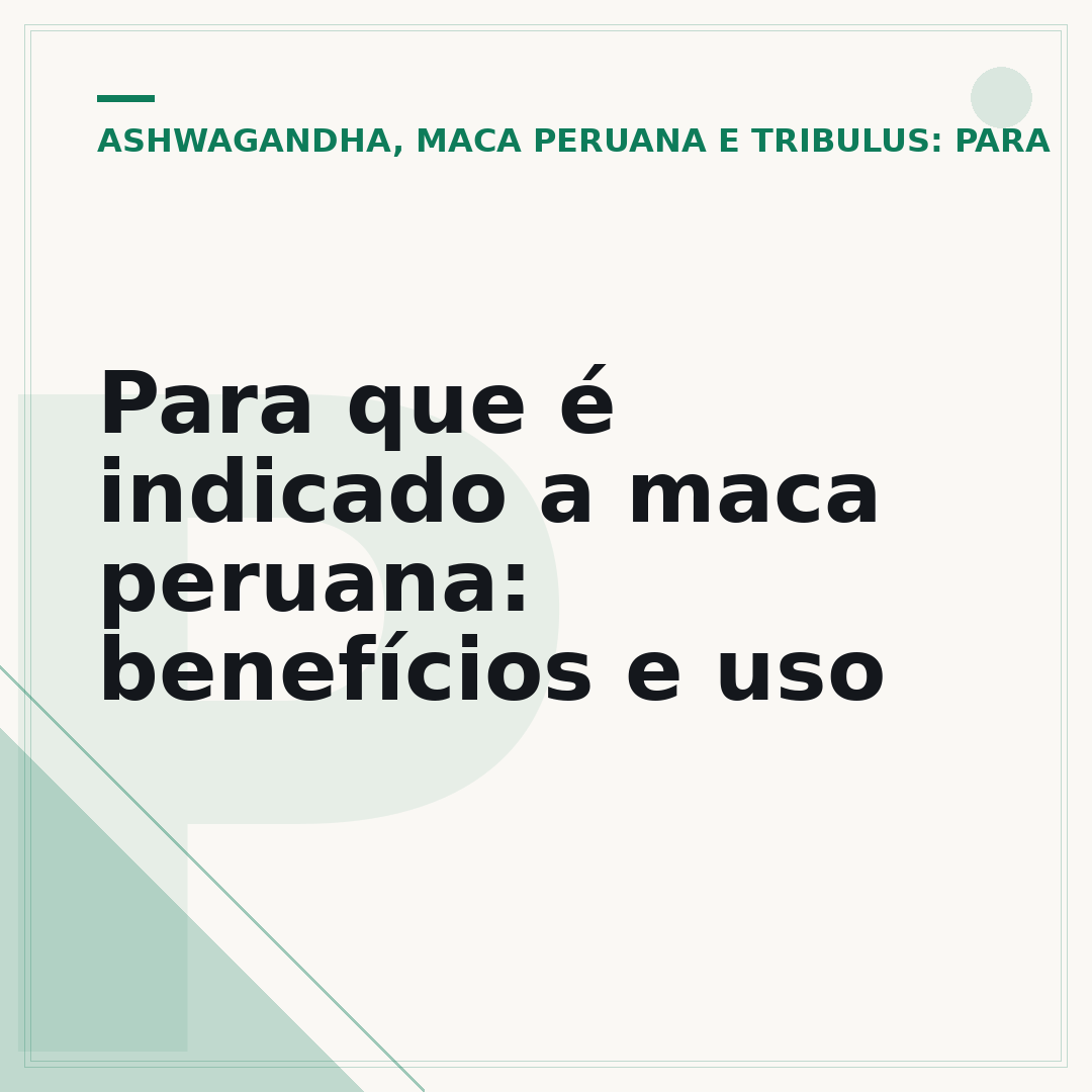 Para que é indicado a maca peruana: benefícios e uso