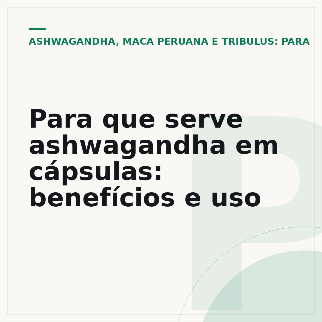 Para que serve ashwagandha em cápsulas: benefícios e uso