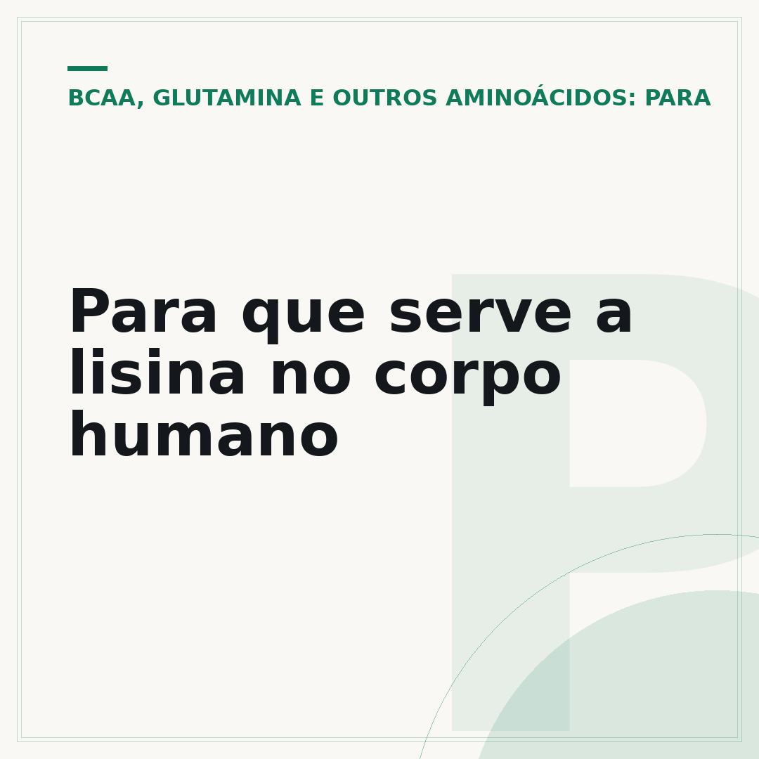 Para que serve a lisina no corpo humano