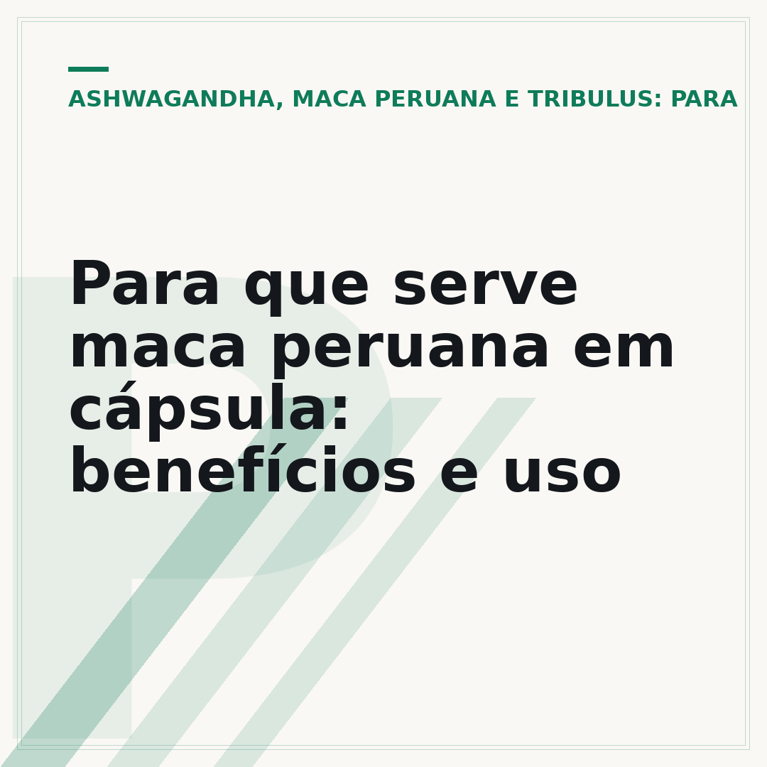 Para que serve maca peruana em cápsula: benefícios e uso