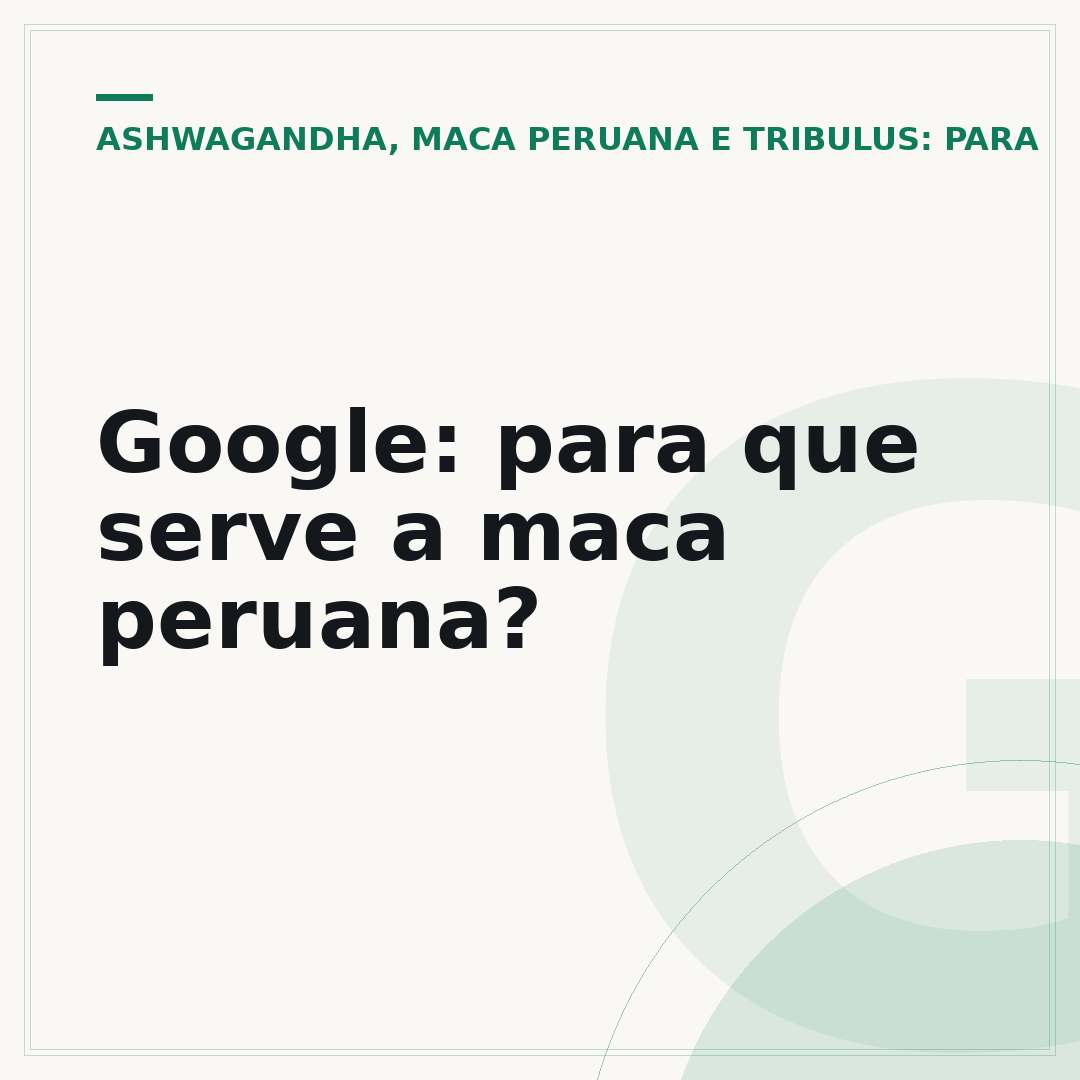 Google: para que serve a maca peruana?