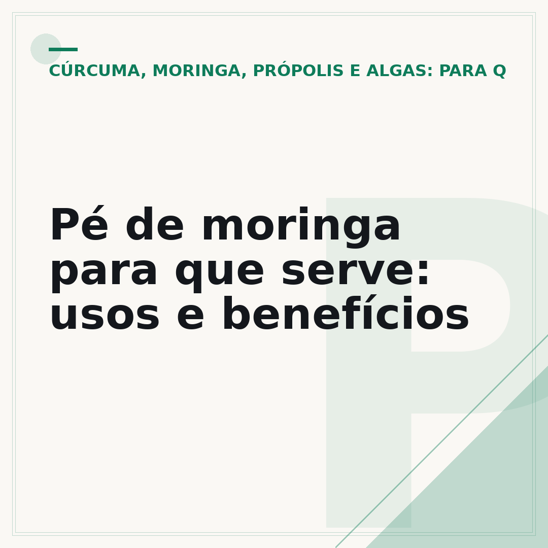 Pé de moringa para que serve: usos e benefícios