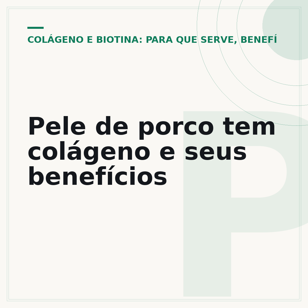 Pele de porco tem colágeno e seus benefícios