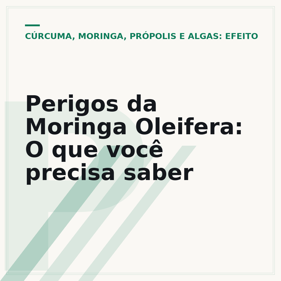 Perigos da Moringa Oleifera: O que você precisa saber