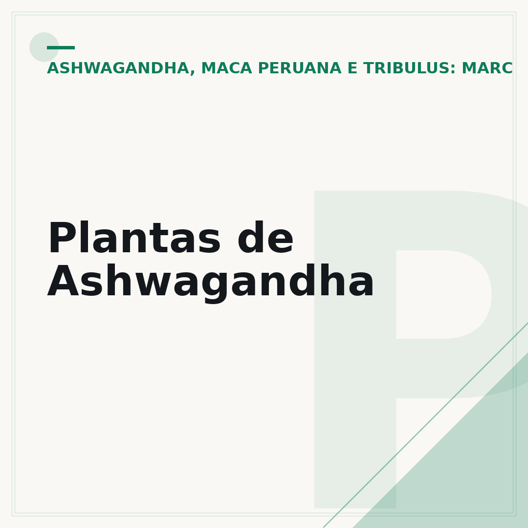 Plantas de Ashwagandha