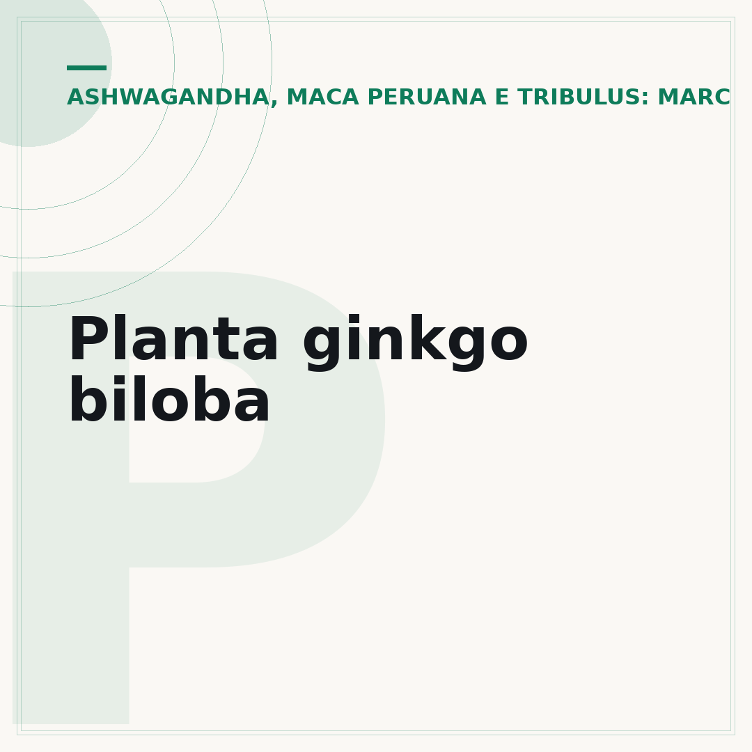 Planta ginkgo biloba
