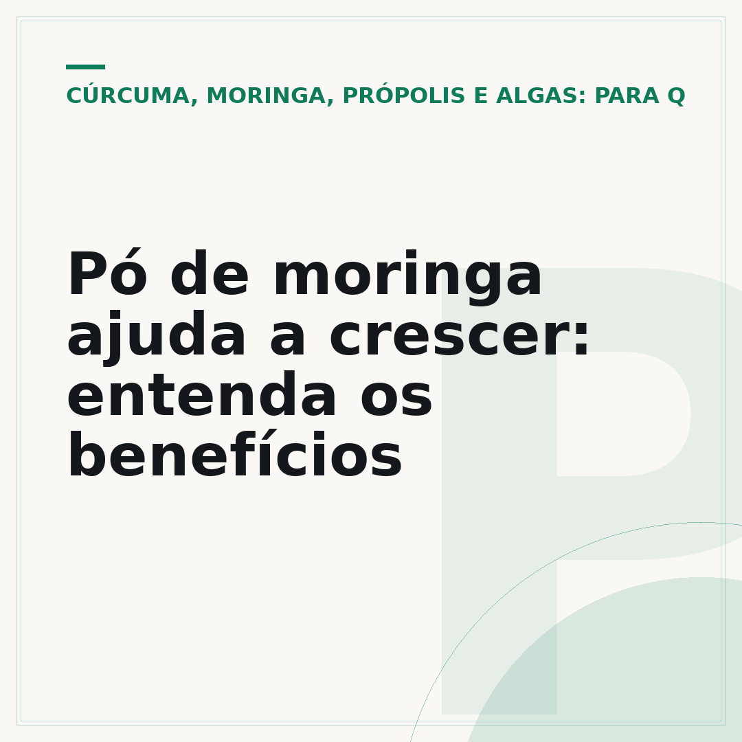 Pó de moringa ajuda a crescer: entenda os benefícios