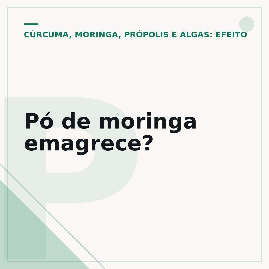 Pó de moringa emagrece?