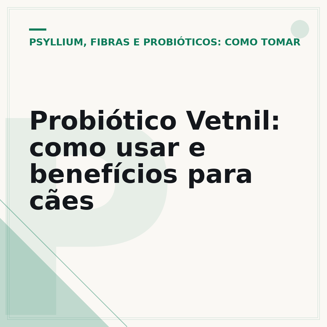 Probiótico Vetnil: como usar e benefícios para cães