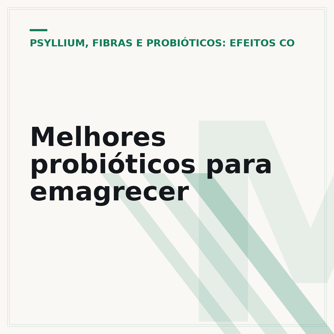Melhores probióticos para emagrecer