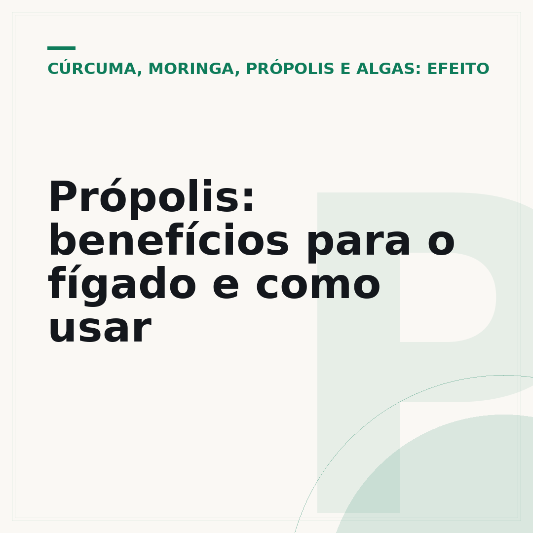 Própolis: benefícios para o fígado e como usar