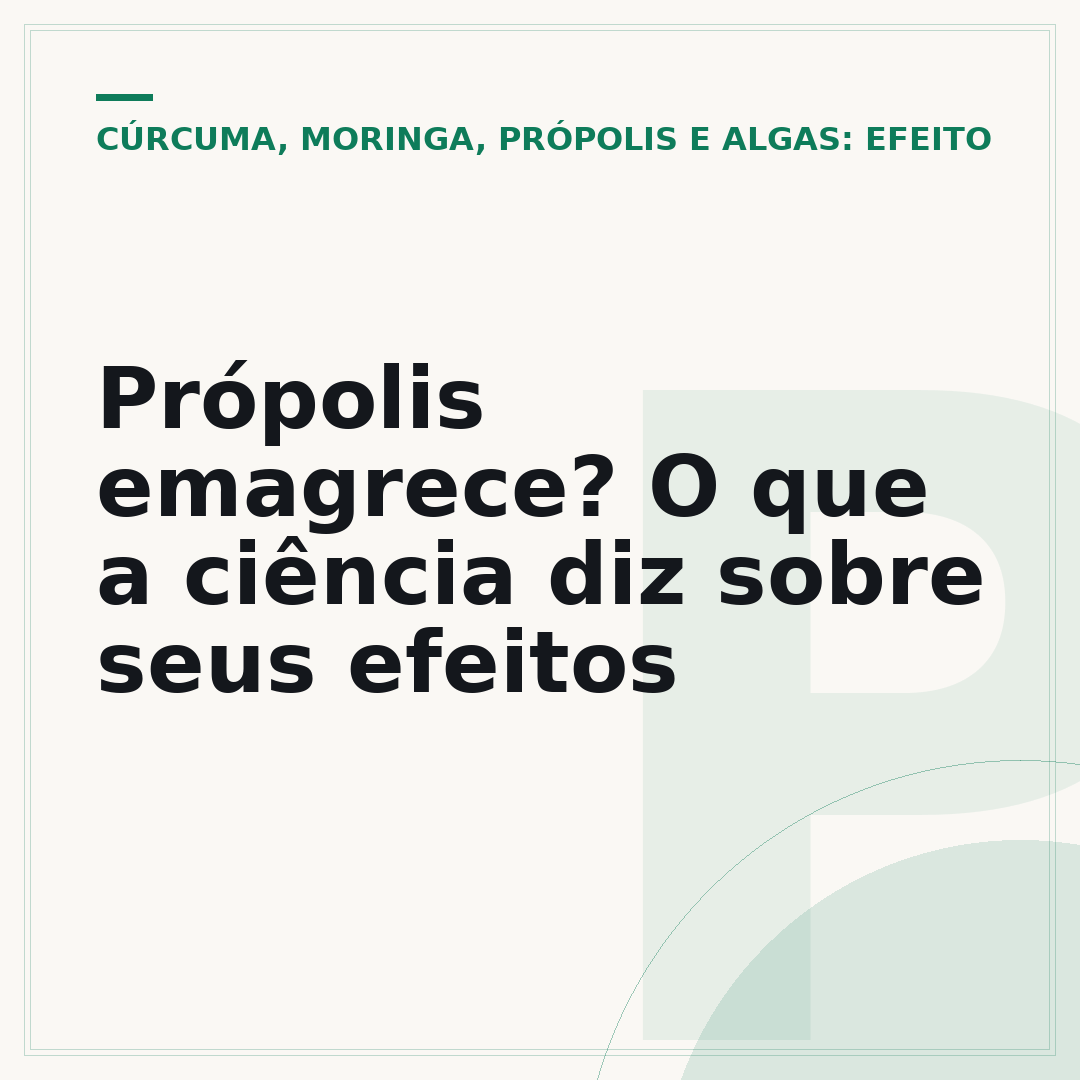 Própolis emagrece? O que a ciência diz sobre seus efeitos