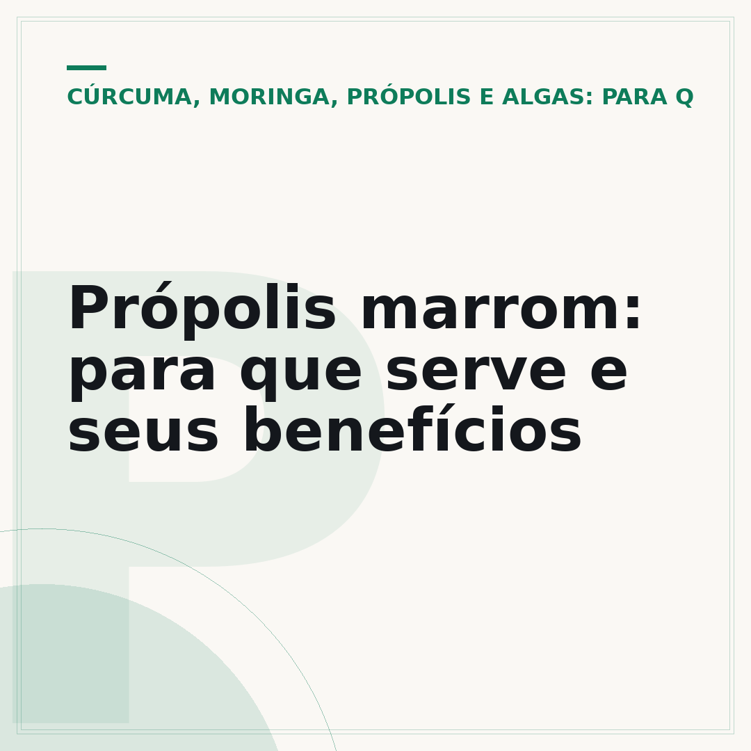 Própolis marrom: para que serve e seus benefícios