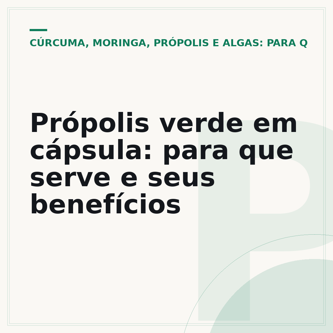 Própolis verde em cápsula: para que serve e seus benefícios