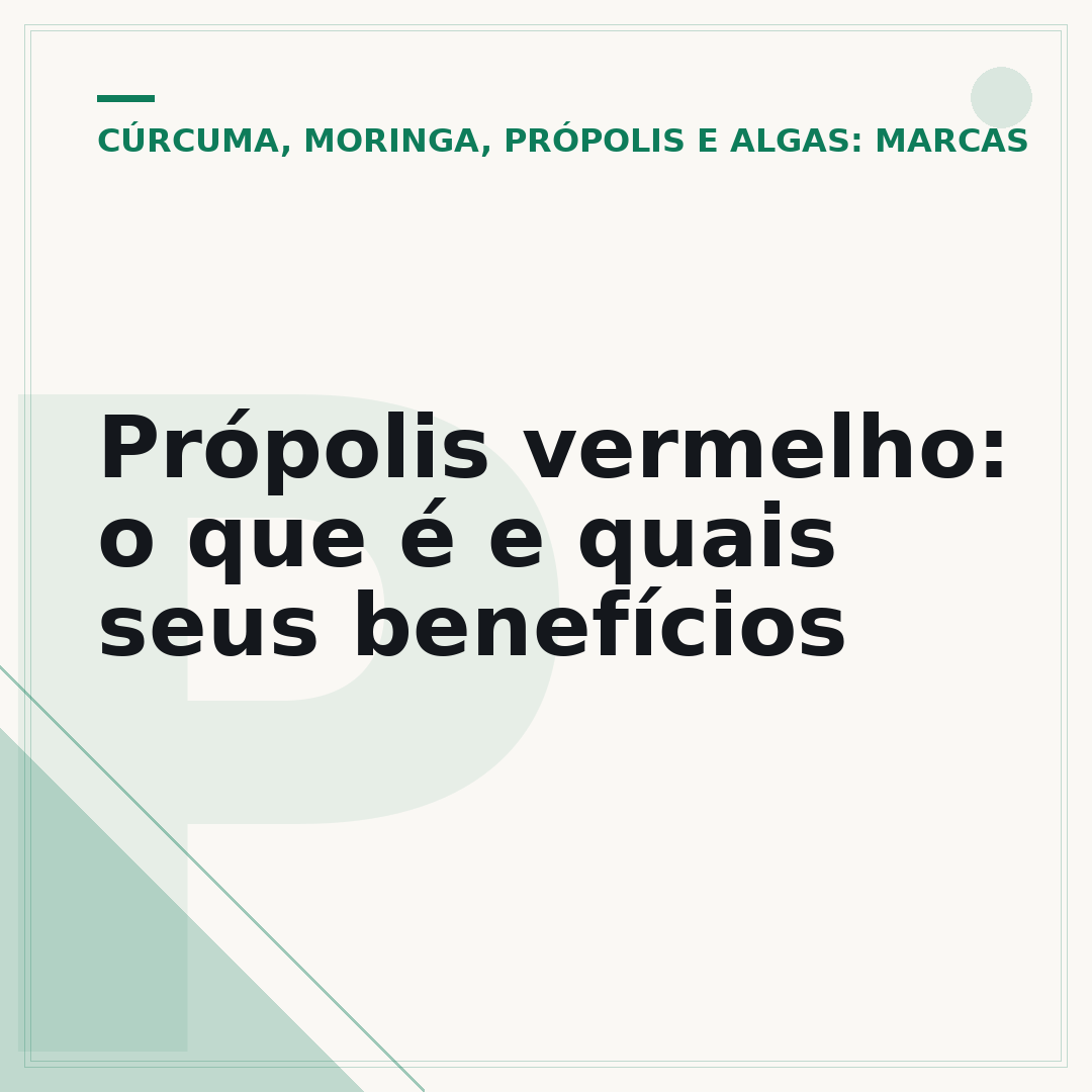 Própolis vermelho: o que é e quais seus benefícios