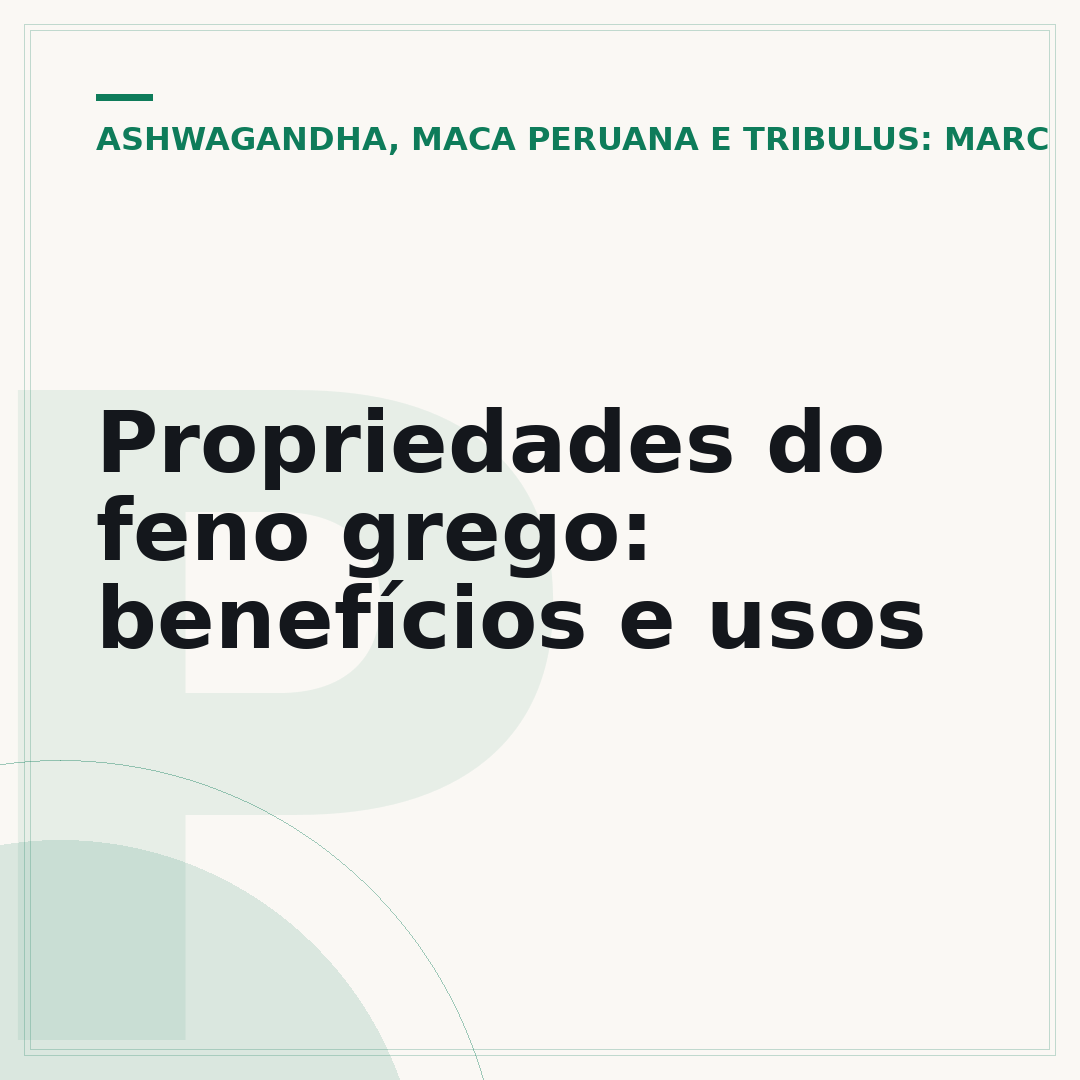 Propriedades do feno grego: benefícios e usos
