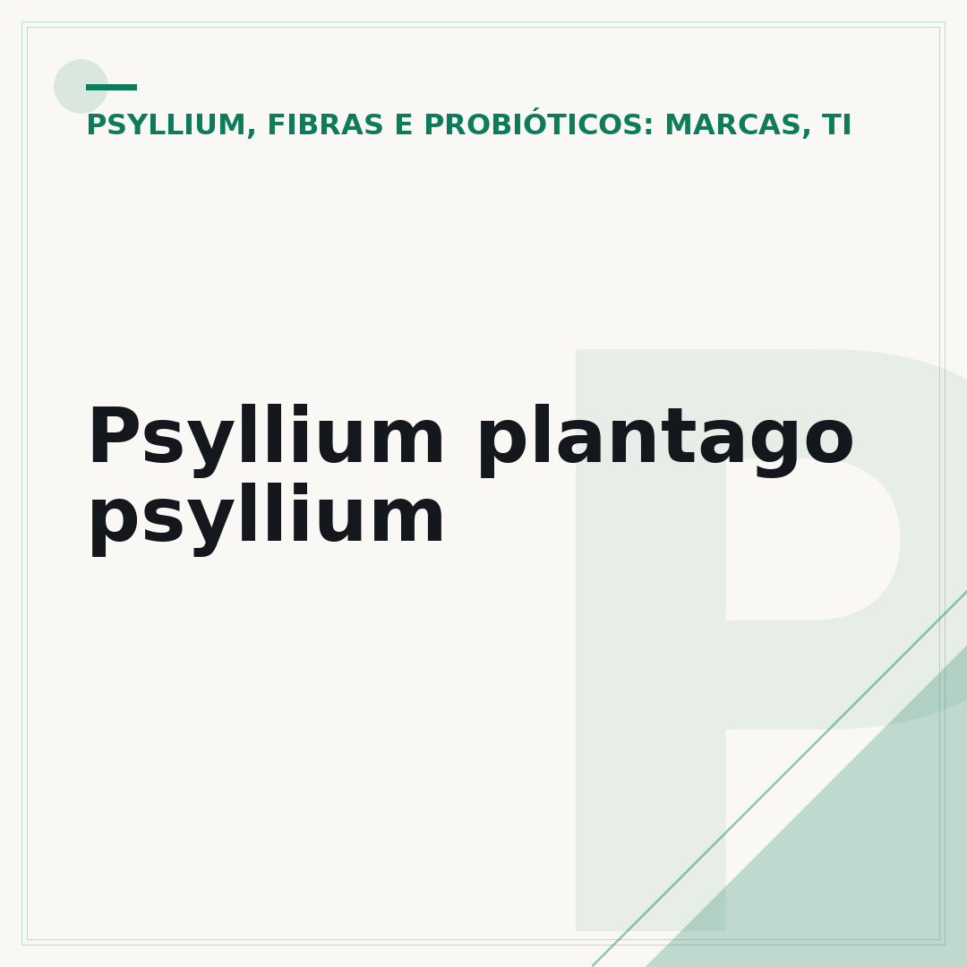 Psyllium plantago psyllium