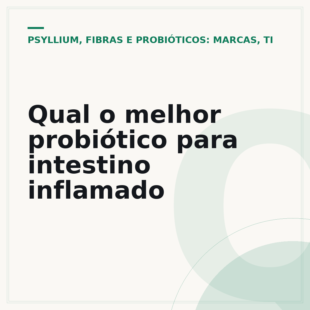 Qual o melhor probiótico para intestino inflamado