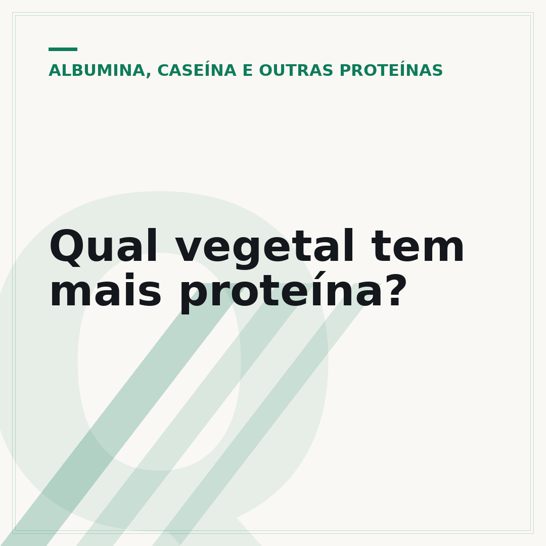 Qual vegetal tem mais proteína?