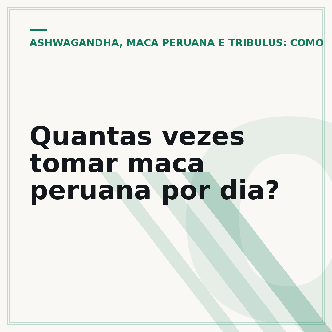 Quantas vezes tomar maca peruana por dia?