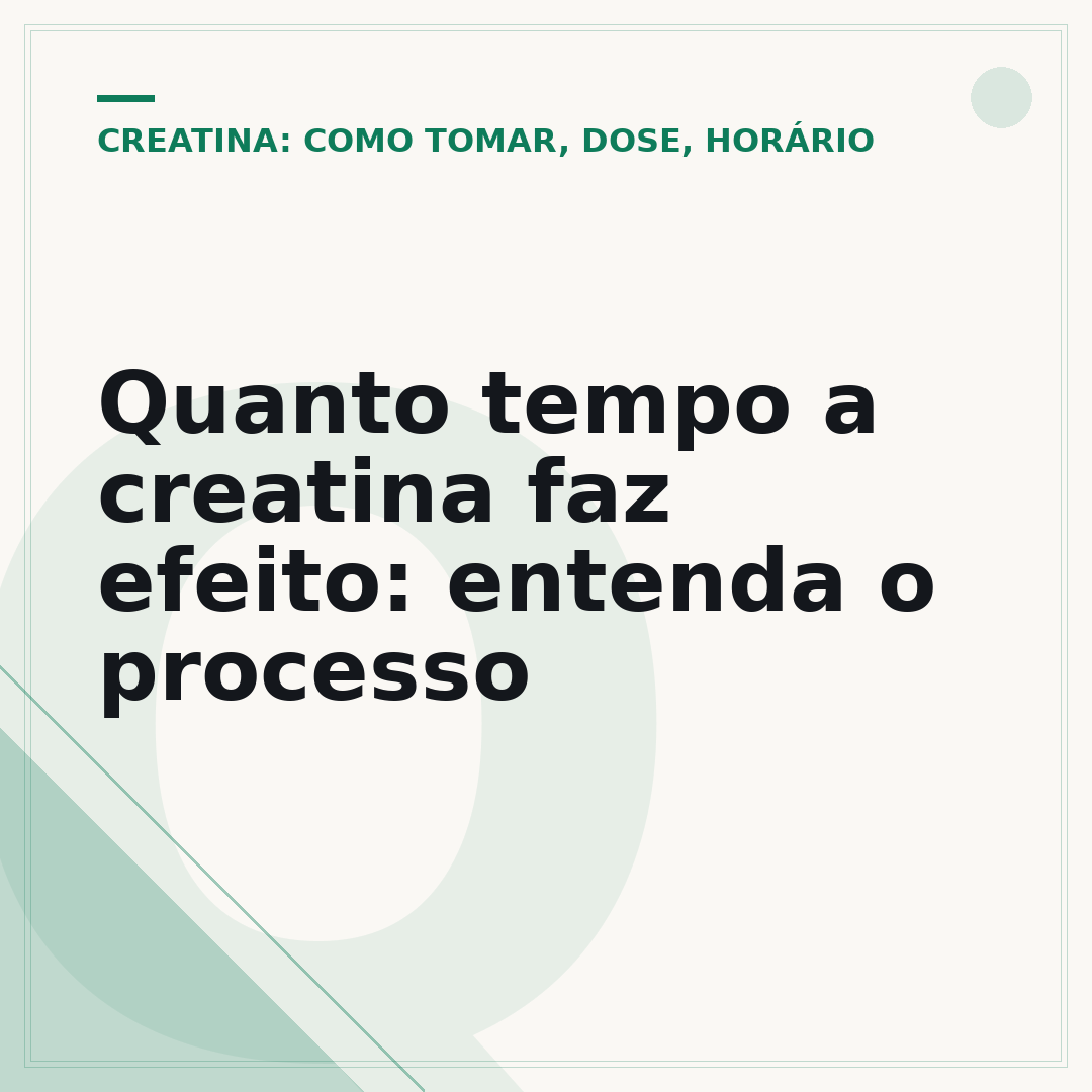Quanto tempo a creatina faz efeito: entenda o processo