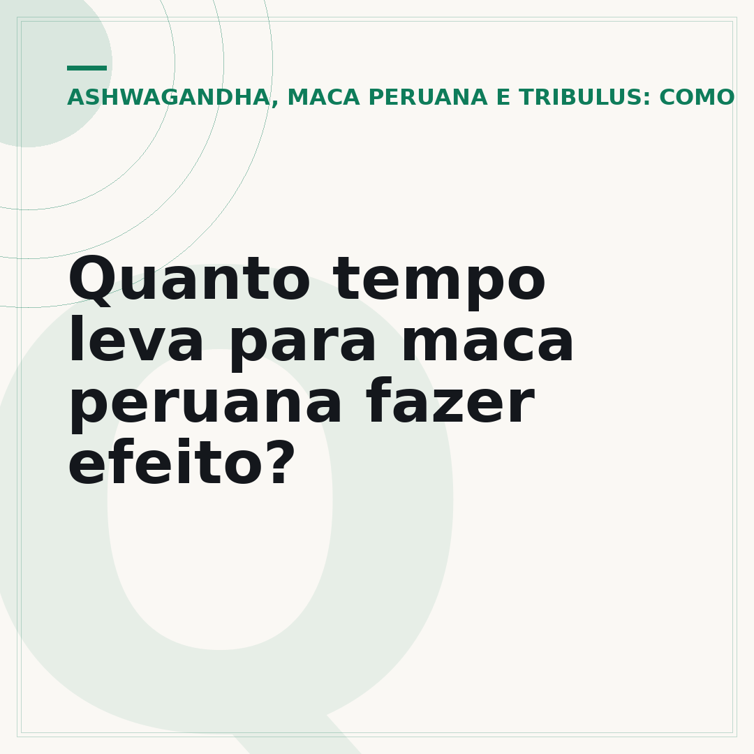 Quanto tempo leva para maca peruana fazer efeito?