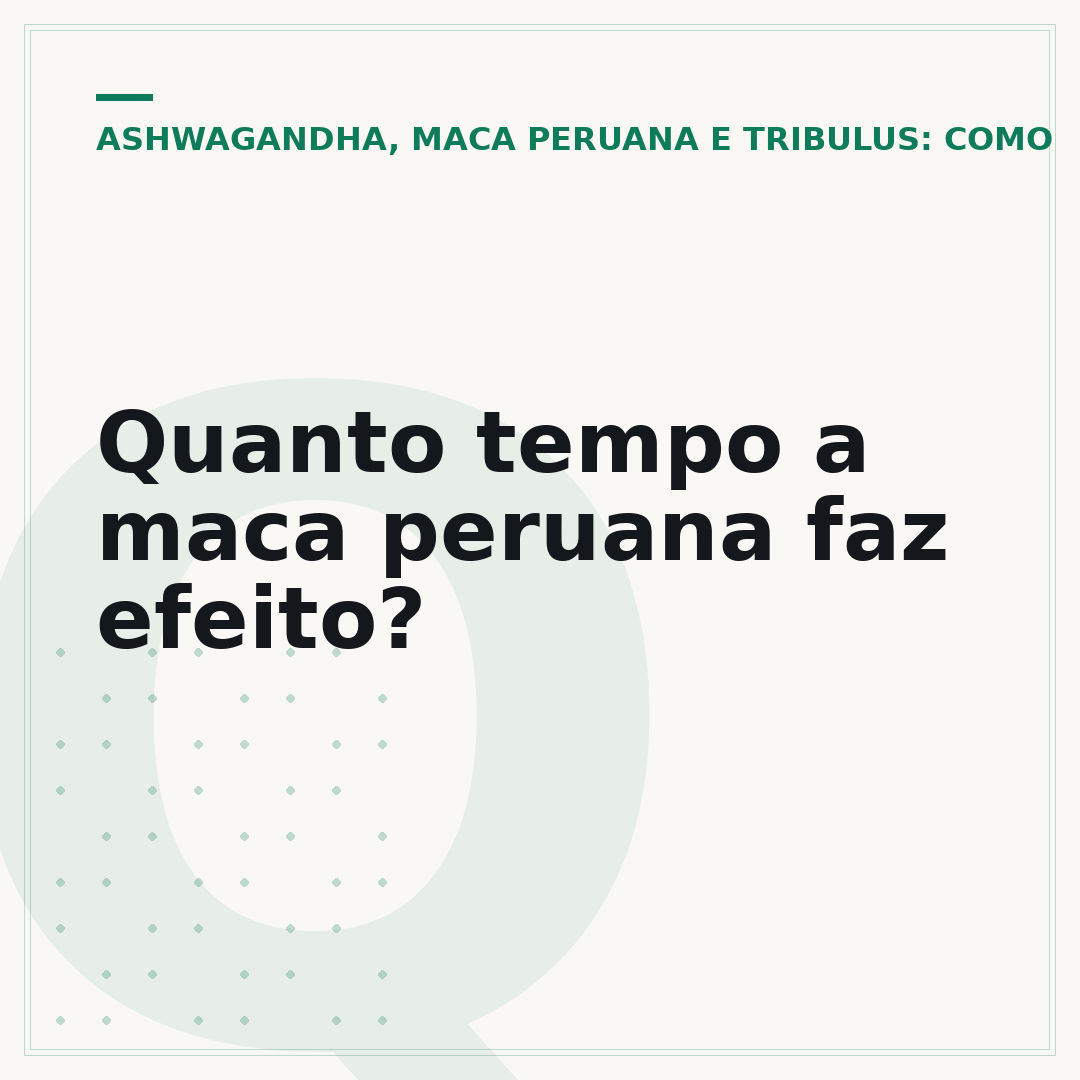Quanto tempo a maca peruana faz efeito?
