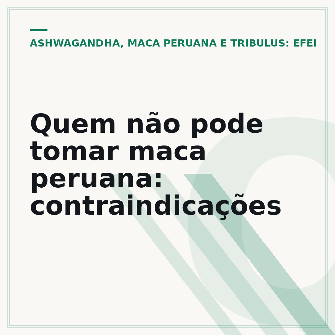 Quem não pode tomar maca peruana: contraindicações