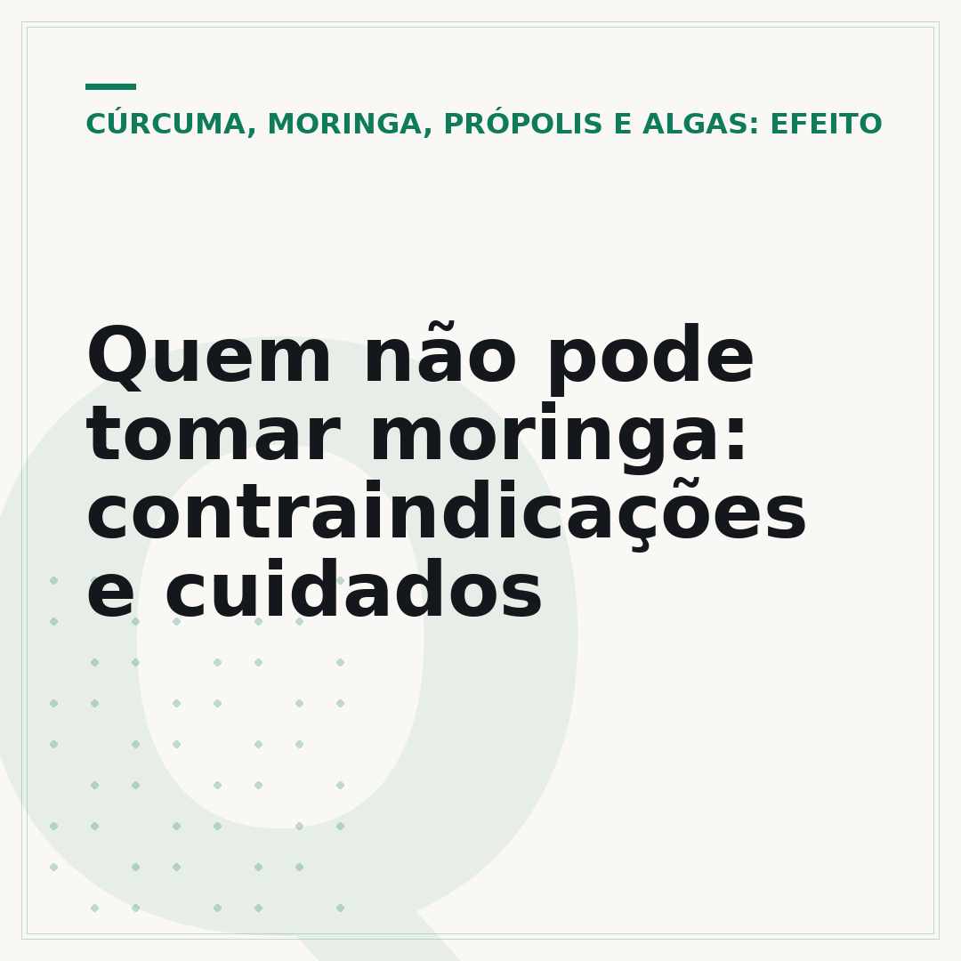 Quem não pode tomar moringa: contraindicações e cuidados
