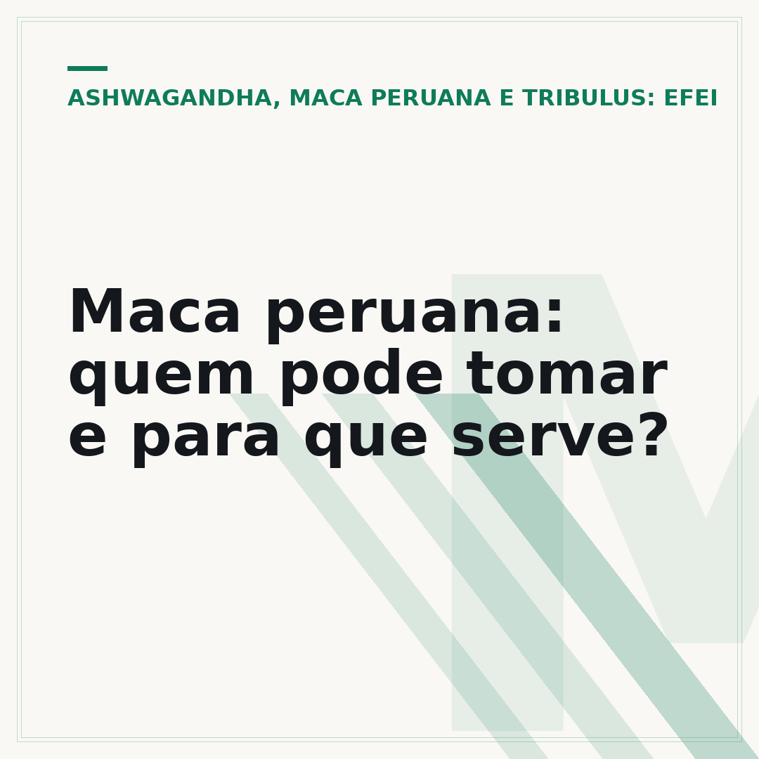Maca peruana: quem pode tomar e para que serve?
