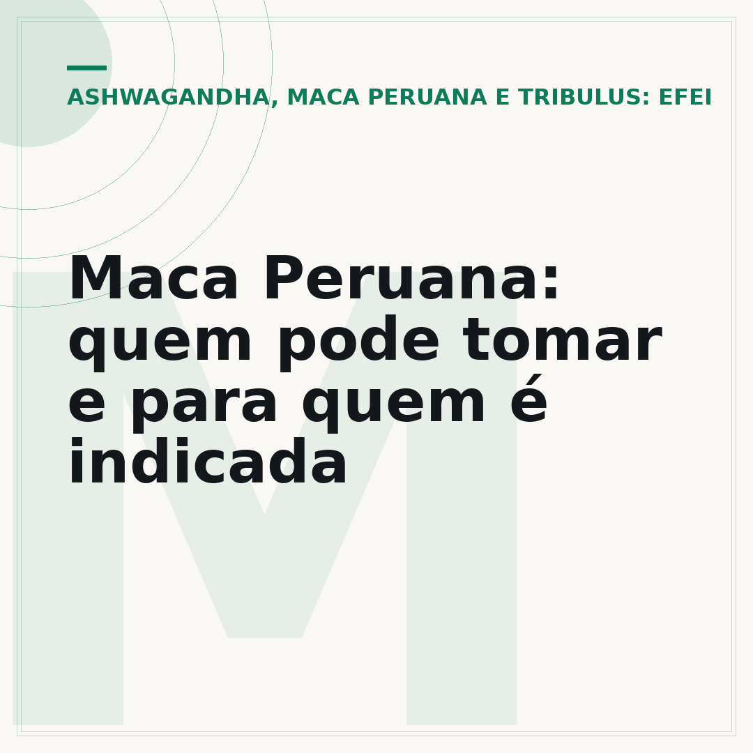 Maca Peruana: quem pode tomar e para quem é indicada