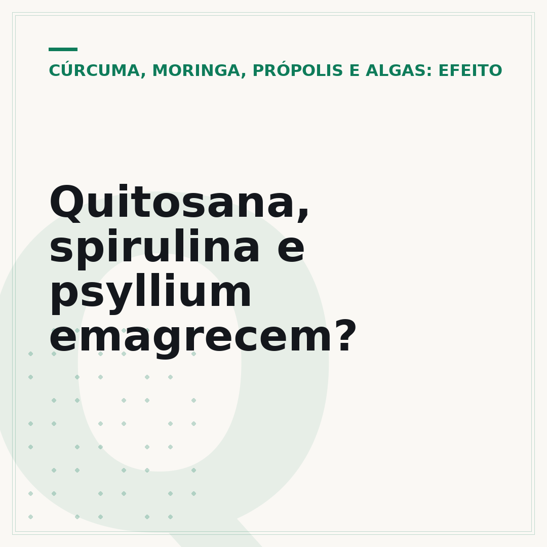 Quitosana, spirulina e psyllium emagrecem?