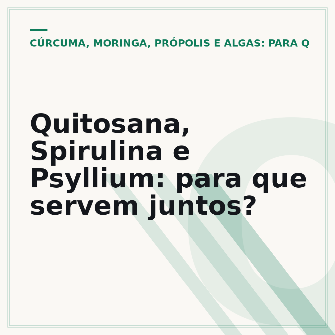 Quitosana, Spirulina e Psyllium: para que servem juntos?