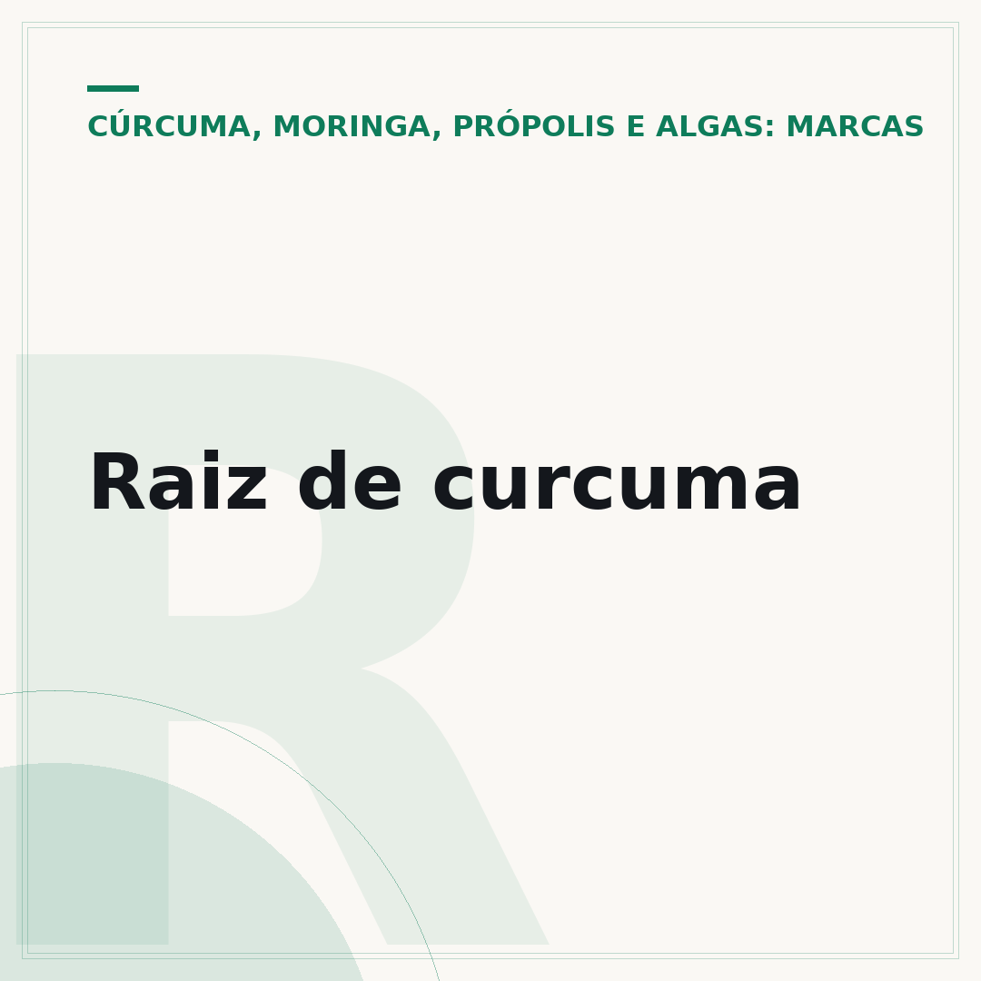 Raiz de curcuma