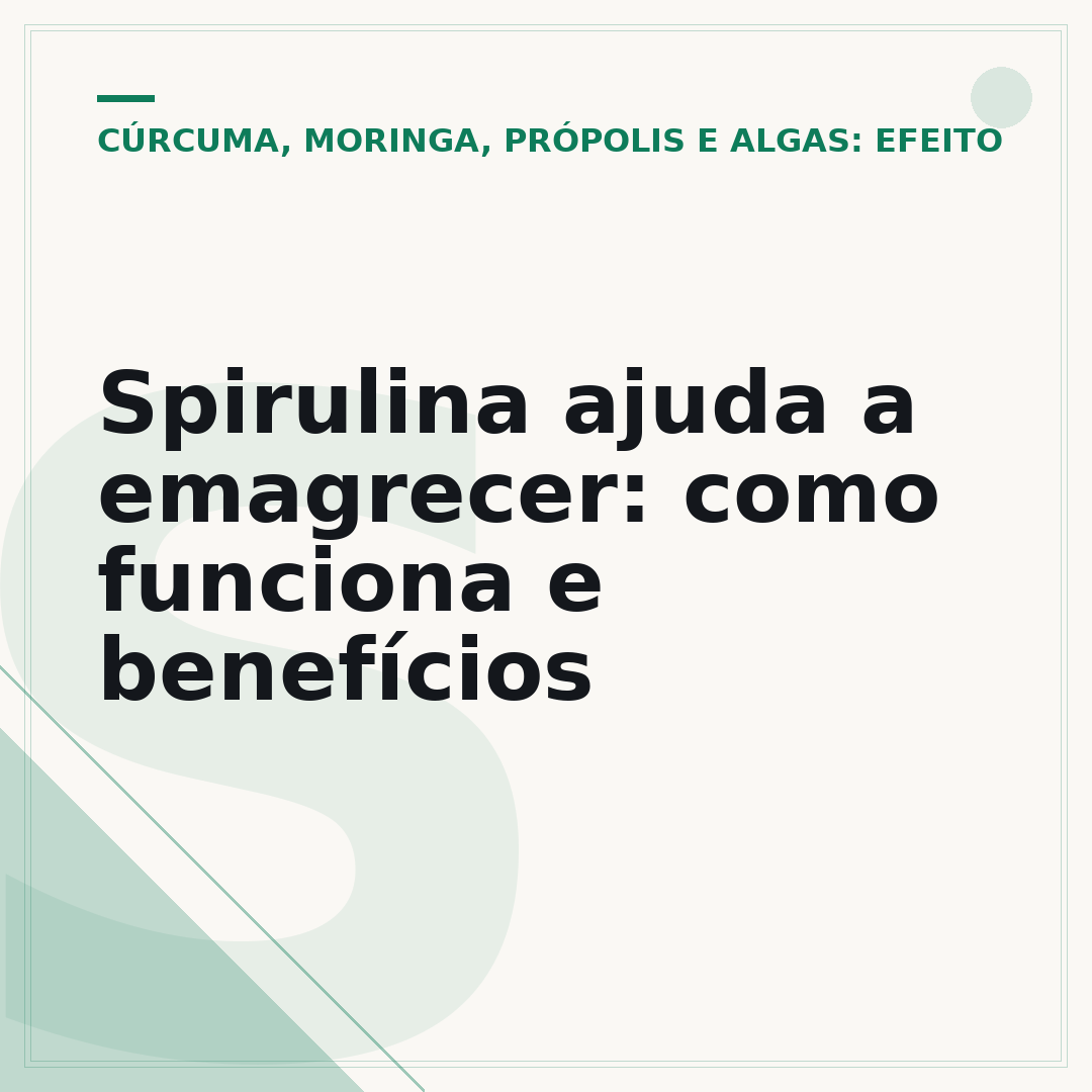 Spirulina ajuda a emagrecer: como funciona e benefícios