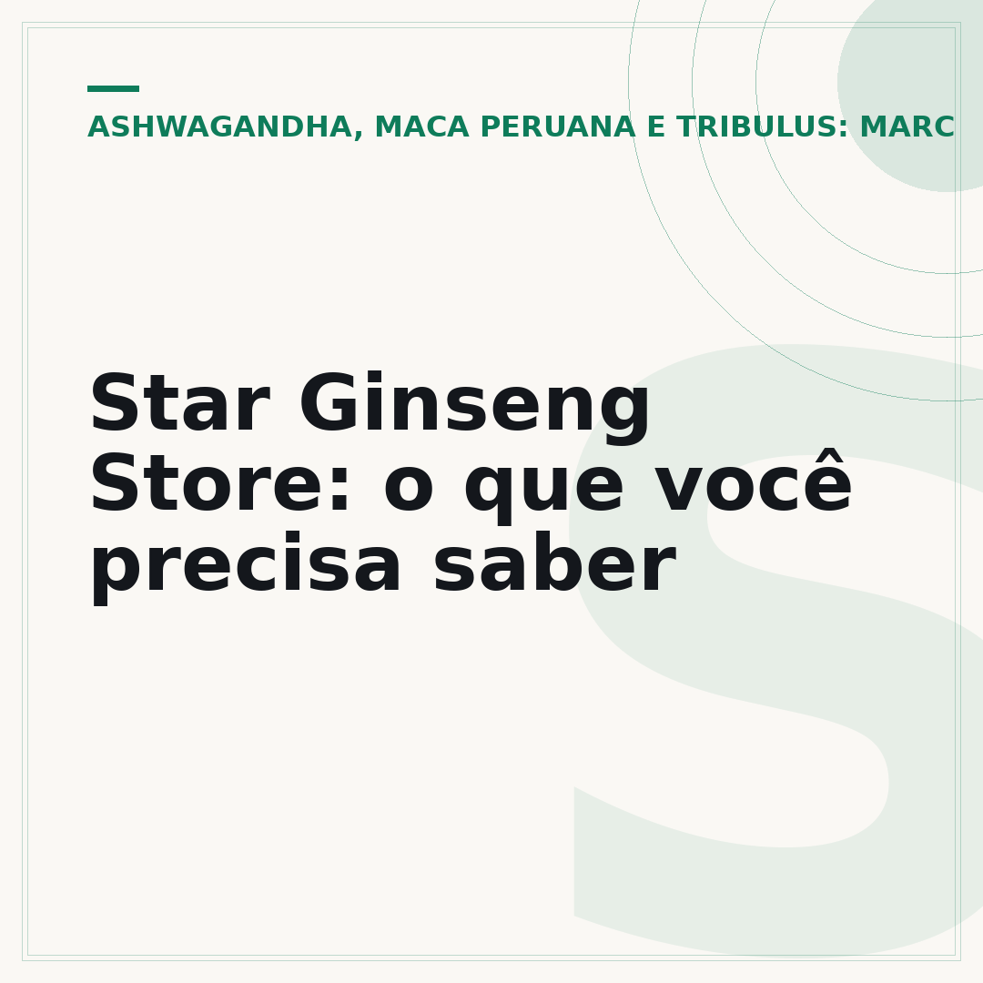 Star Ginseng Store: o que você precisa saber