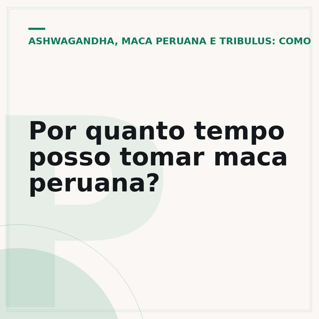 Por quanto tempo posso tomar maca peruana?
