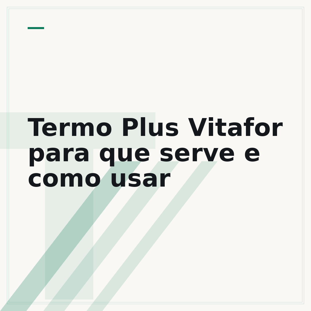 Termo Plus Vitafor para que serve e como usar