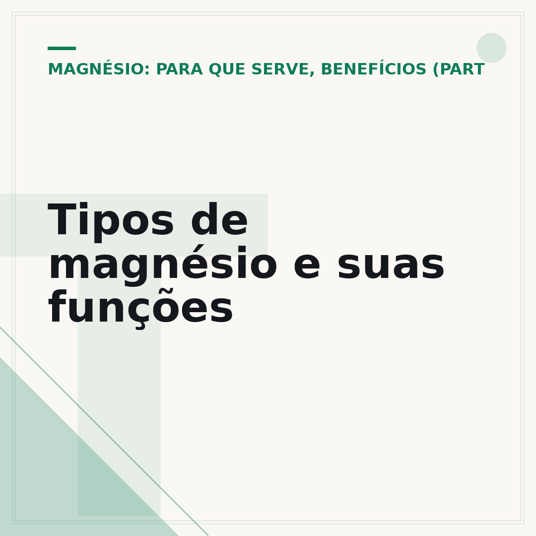 Tipos de magnésio e suas funções