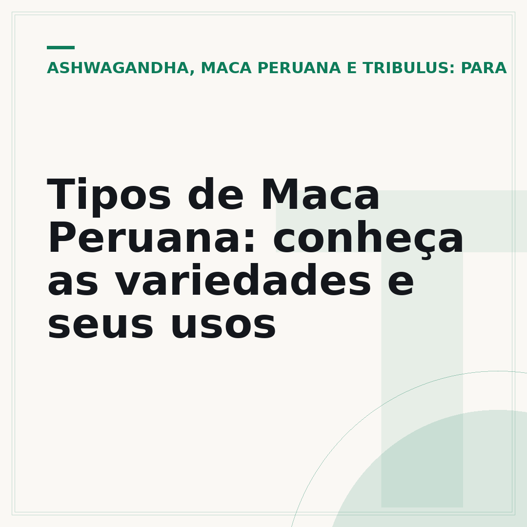 Tipos de Maca Peruana: conheça as variedades e seus usos
