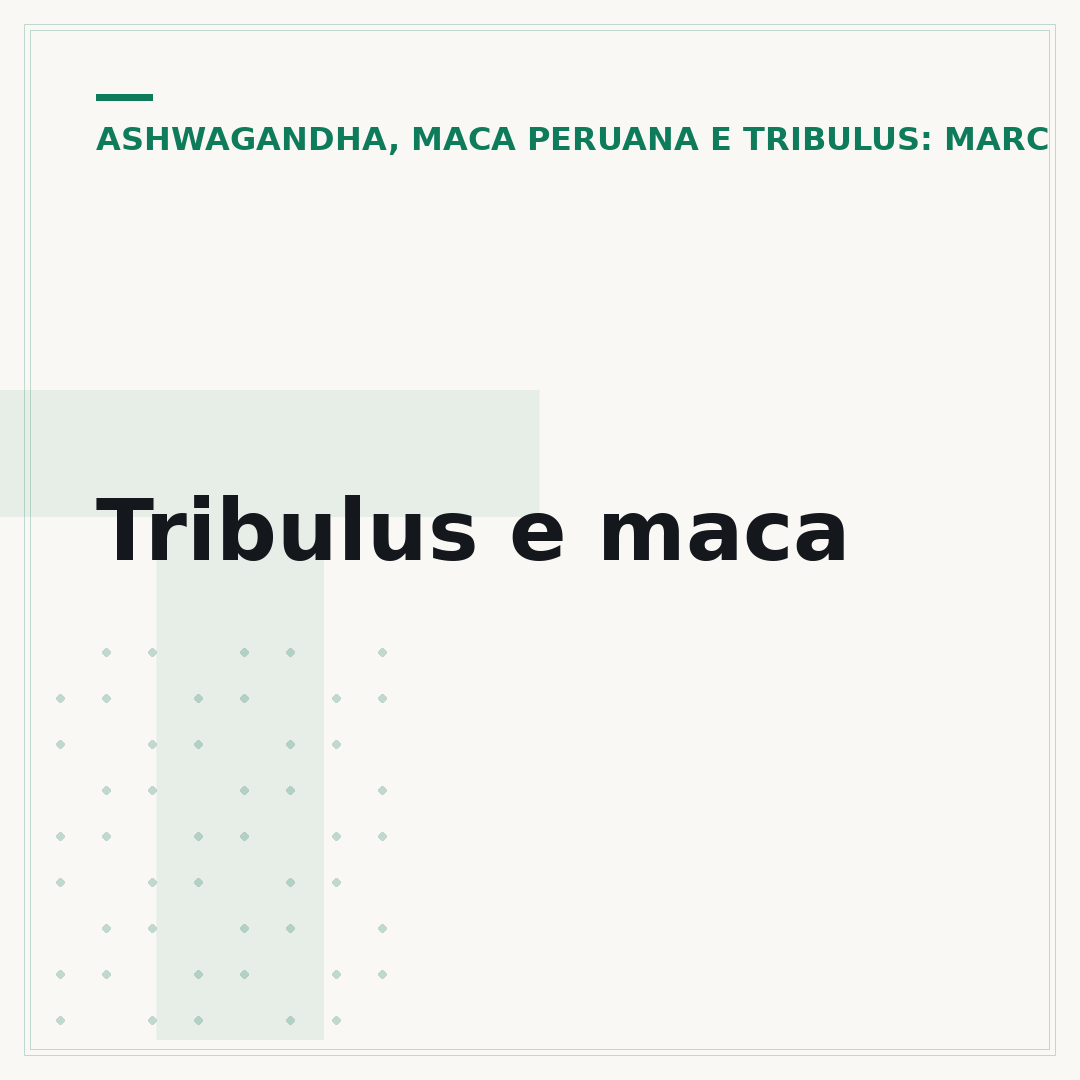 Tribulus e maca