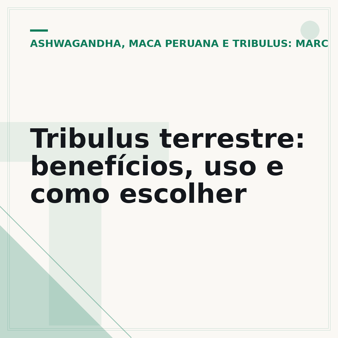 Tribulus terrestre: benefícios, uso e como escolher