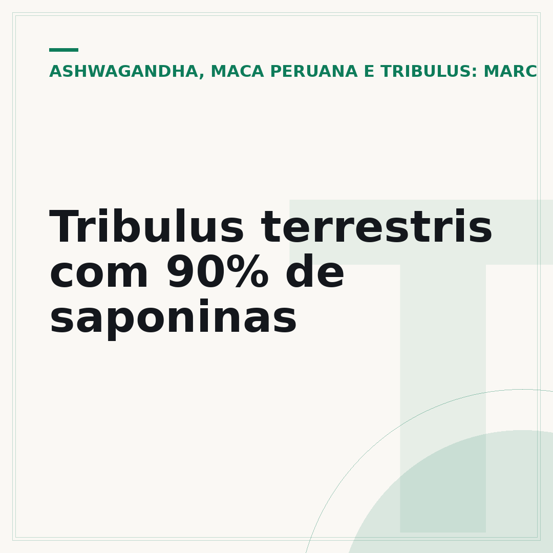 Tribulus terrestris com 90% de saponinas
