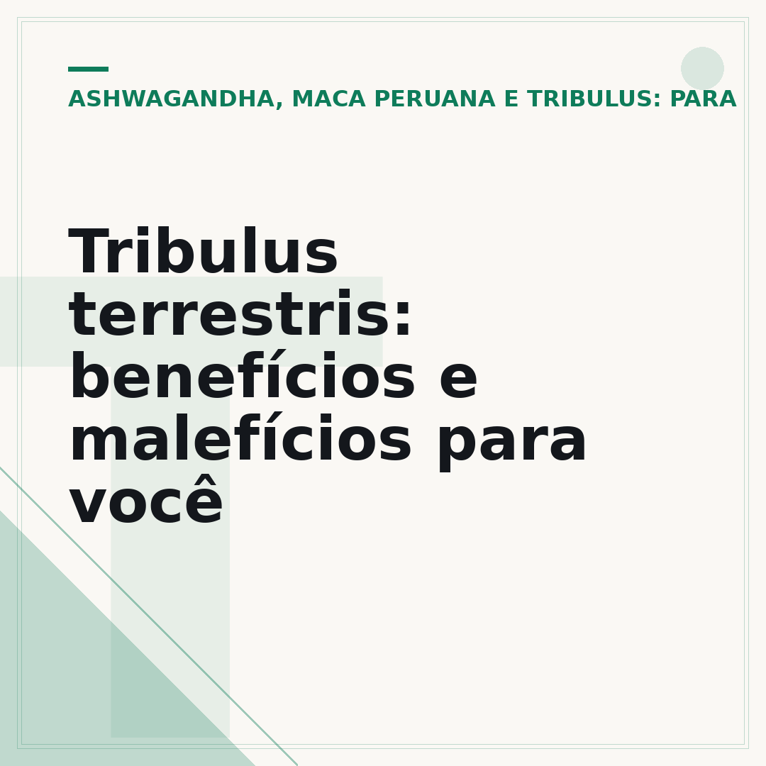 Tribulus terrestris: benefícios e malefícios para você