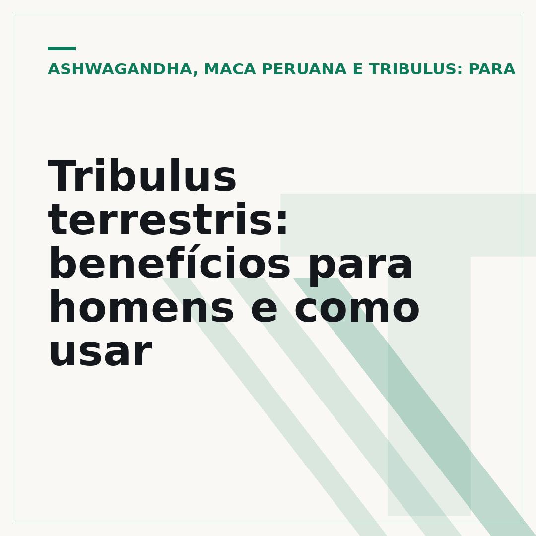 Tribulus terrestris: benefícios para homens e como usar