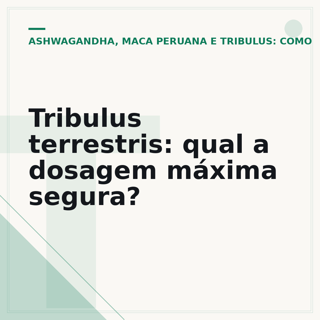 Tribulus terrestris: qual a dosagem máxima segura?